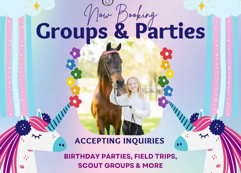 Have your next party at STONE LEDGE!